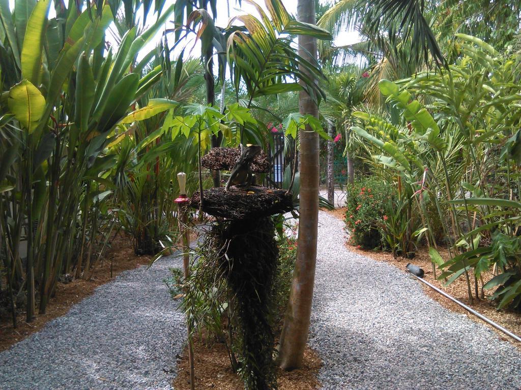 Cabinas Tropicales Hotel Puerto Jimenez Room photo