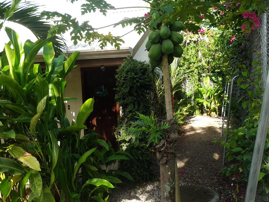 Cabinas Tropicales Hotel Puerto Jimenez Exterior photo